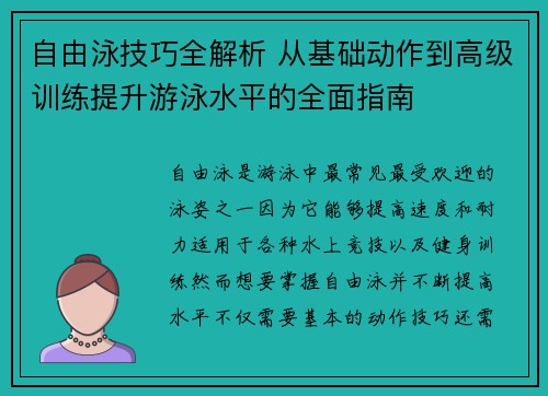 自由泳技巧全解析 从基础动作到高级训练提升游泳水平的全面指南